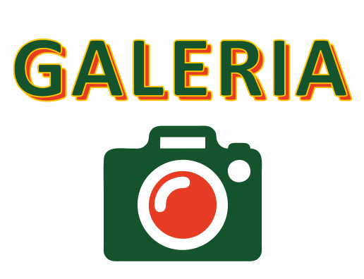 galeria2014-avatar